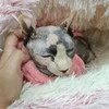 Студия кинезиофитнеса и остеопрактики Остеосознание — фото 30