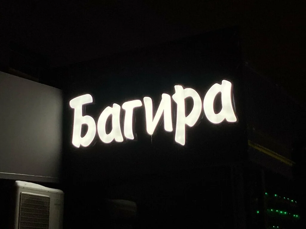 Багира — фото 5