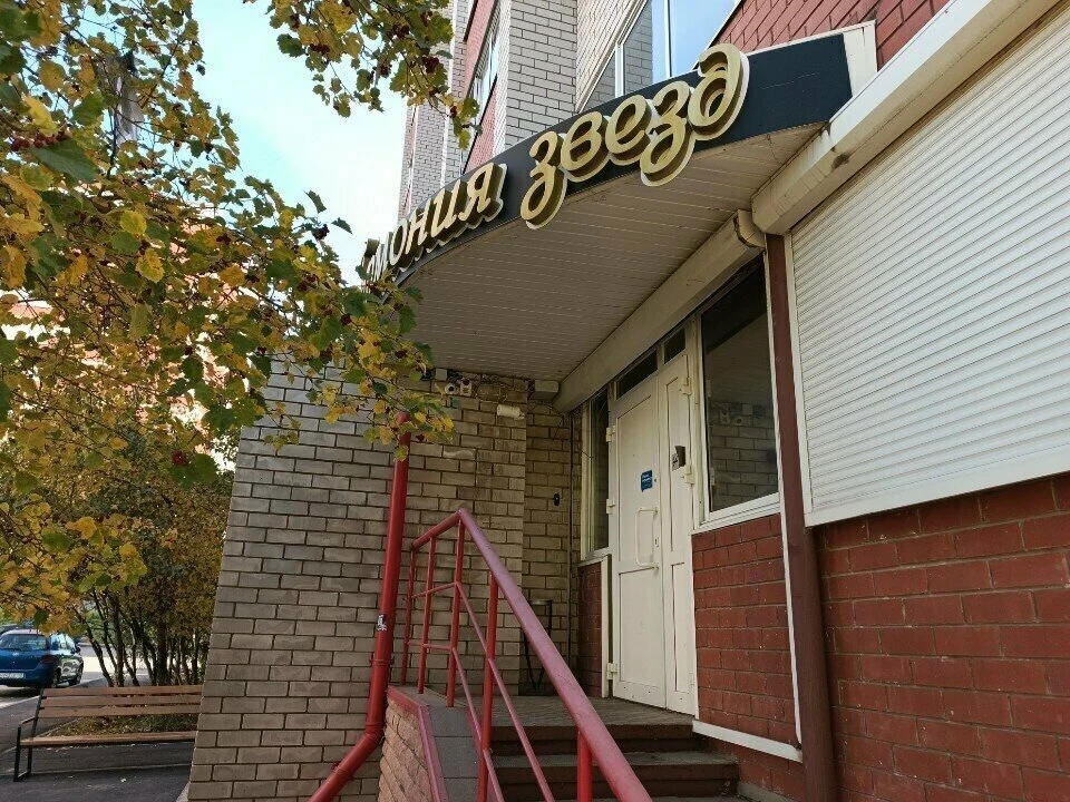 Гармония звезд — фото 2